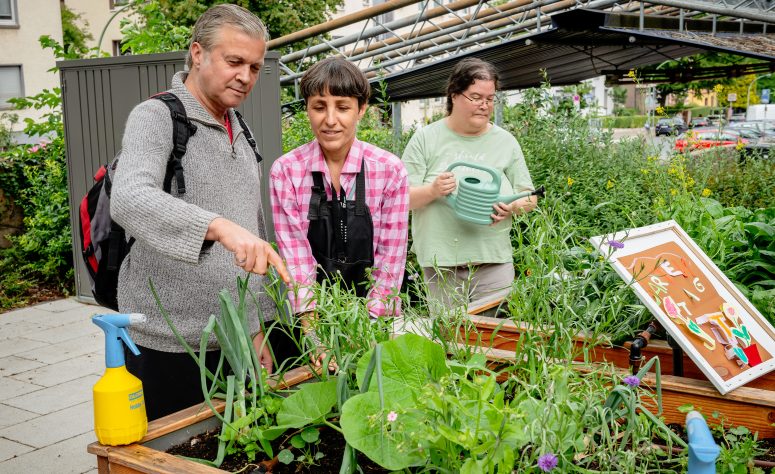 Zwei Patienten pflegen das Gemüsebeet mit Ihrer Betreuerin
